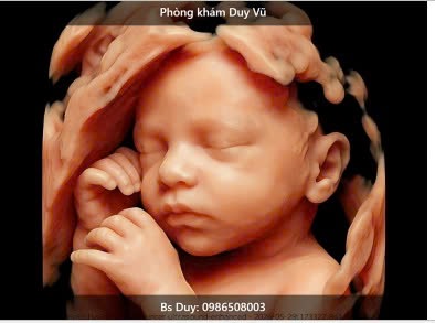 Hỗ trợ sinh sản cá nhân hóa